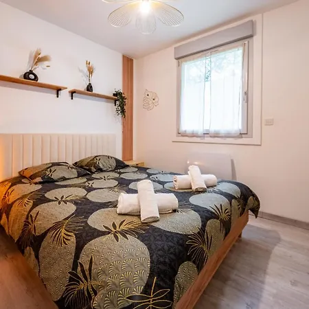 Le Petit Nid Centre Et Garage Prive Dijon